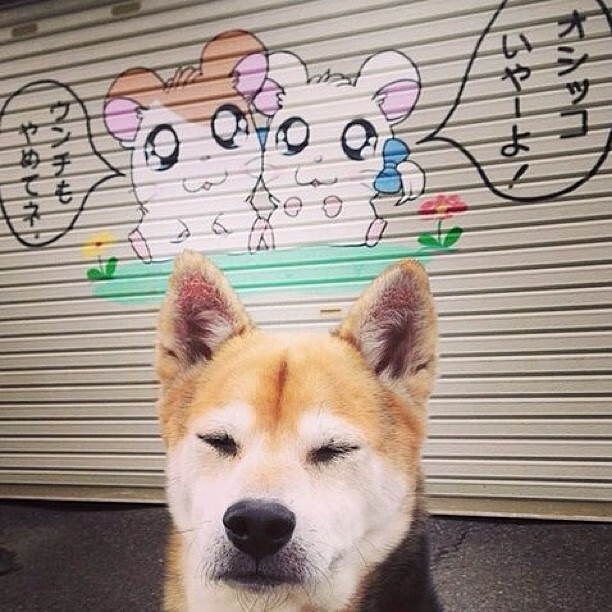 冲浪比赛掀起海浪,感受海上狂欢盛宴,冲浪比赛比什么