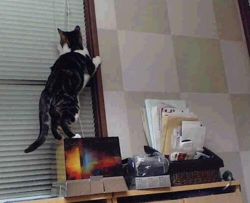 九游体育平台官网-中超联赛引入智能裁判技术提升判罚精准度,中超裁判又出争议判罚